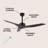 Artisha 50'' Ceiling Fan-684973092
