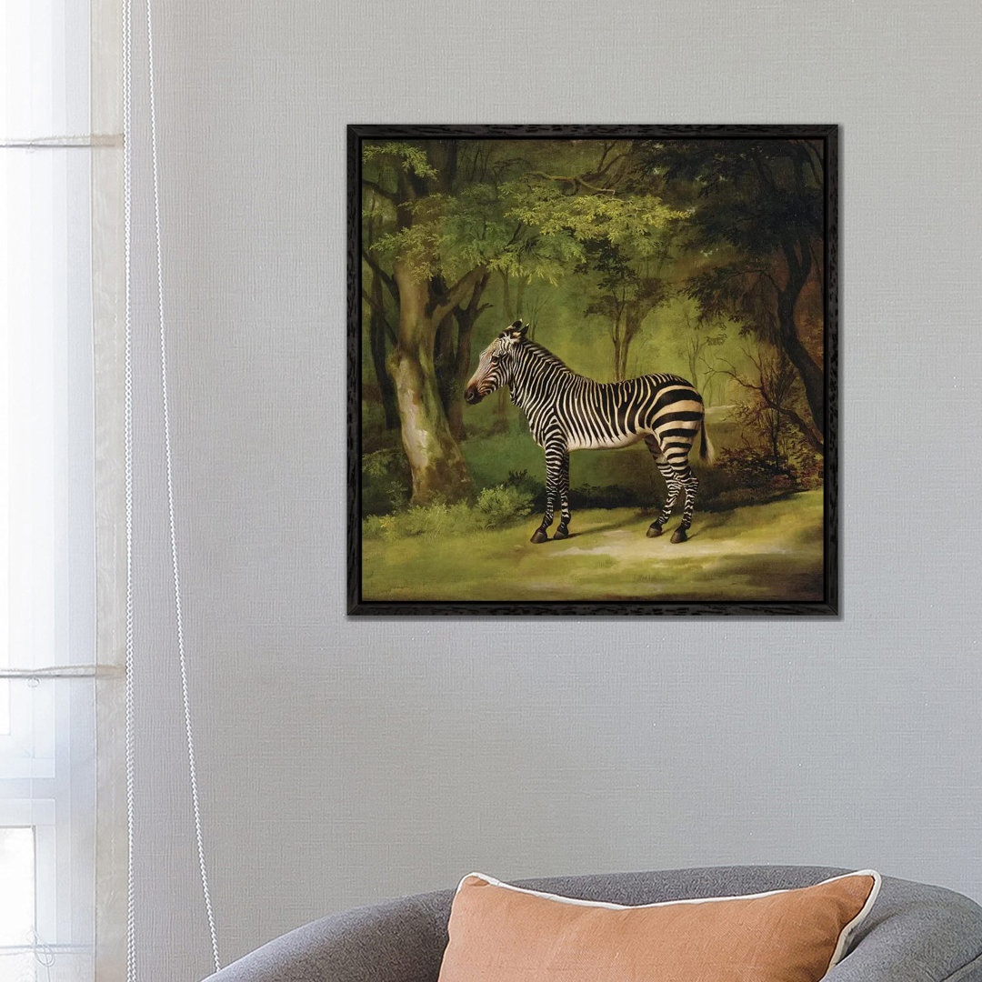 A Zebra, 1763 by George Stubbs - Painting on Canvas