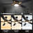 Briyan Ceiling Fan with LED Lights-1619148399