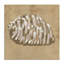 Toile coquille expressionniste de terre, conception par June Erica Vess-223635719