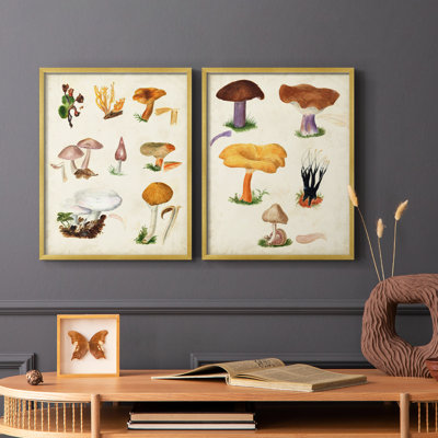 Champignon VI - reproduction encadrée de qualité supérieure - prêt à être accroché - aucun clou requis - aucun clou requis