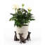 Bedelia Weather Resistant Planter Feet