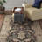 Isabelle Gray/Ivory Area Rug-23769258