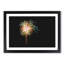 Palm Tree Fireworks - Framed Print-55578356-55578360