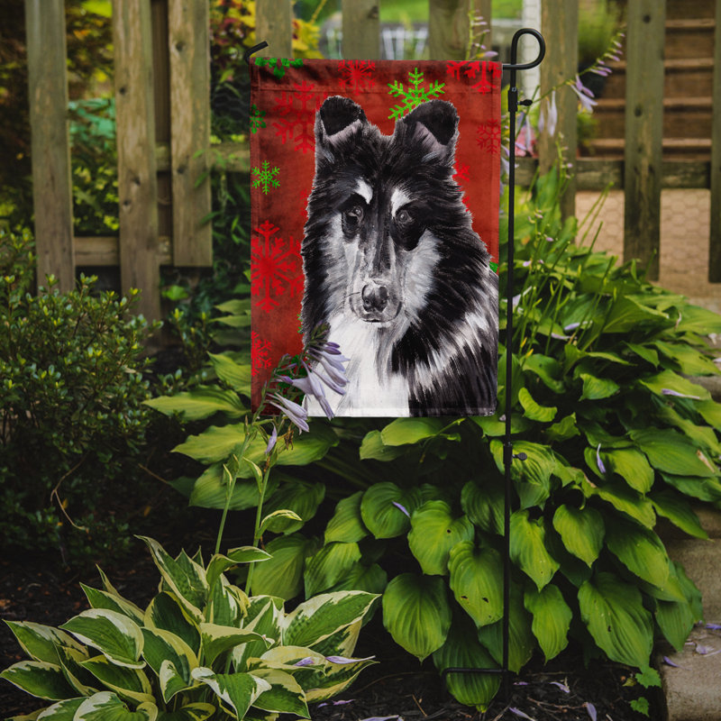 Drapeau rouge et vert Vart, Collie barbu 4