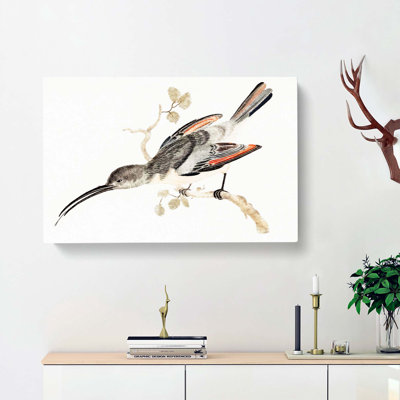 Hummingbird by Johan Teyler - Wrapped Canvas