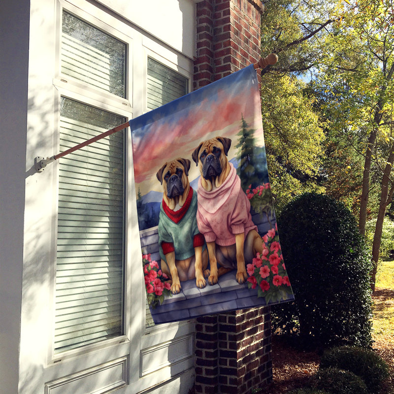 Double Sided 40'' H x 28'' W Polyester Valentine's Day House Flag