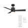 Axis 44'' Ceiling Fan with LED Lights