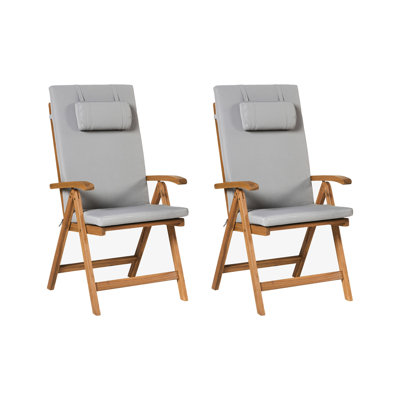 Aarica Folding Patio Dining Armchair with Cushion