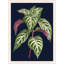 Botany on Blue 2' Framed Graphic Art Print on Glass