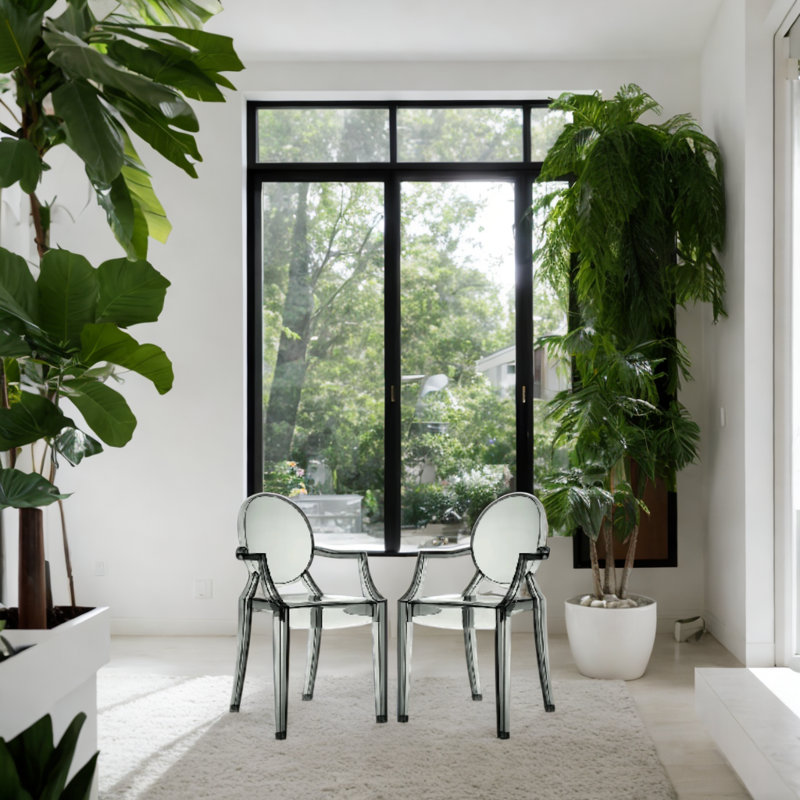 Chaise avec accoudoirs Kaylon Gostyy, Fumée