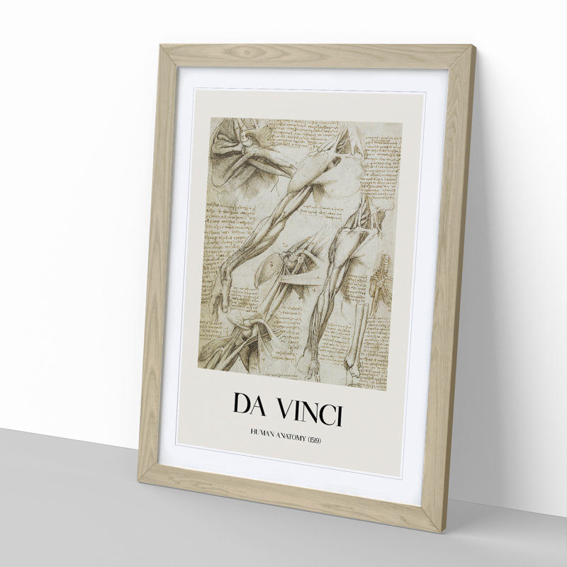 Human Anatomy Vol.1 by Leonardo Da Vinci - Picture Frame Drawing, Oak Framed, 48cm H x 36cm W x 2cm D