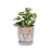 Set Of 2 Gradient Ceramic Flowerpot, Modern Planter For Patio, Garden, Windowsill-1339584902