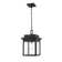 Luminaire suspendu d'extérieur 1 lumière de 11 po de largeur Kéneny