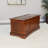 Rosson Blanket Chest-1196162985