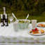 Bayside 450ml Champagne Flute Tumbler