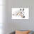 Appaloosa by Patricia Pinto - Wrapped Canvas Gallery-Wrapped Canvas Giclée-1429001031