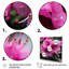 Beauté des rhododendrons mauves - art mural rhododendron-1271293135-1271293132