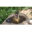Three Stack Rustic Rock Bowl Pebble Fountain