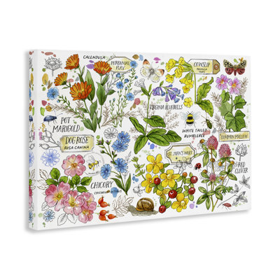 "Diverses herbes", art mural sur toile par Jane Maday