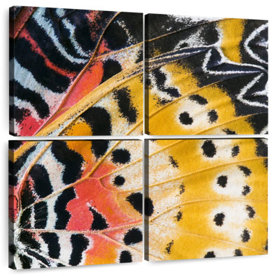Aile de papillon monarque Brampt