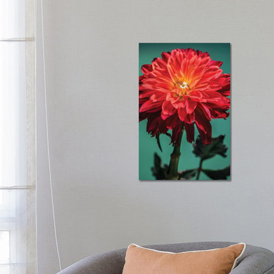 Red Chrysanthemum Flower 1 Piece Wrapped Canvas Wall Art