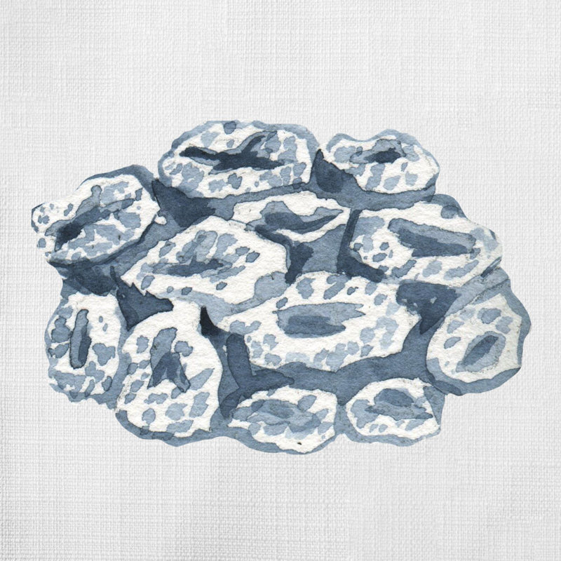 Coussin Cadysse, H 20 po x l 20 po