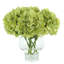 Hydrangea Bouquet-1894723918