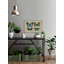 Wing Pattern - Single Picture Frame Print-1811054015