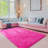 Ultra-Soft Plush  Hot Pink Shag Area Rug-1240622954