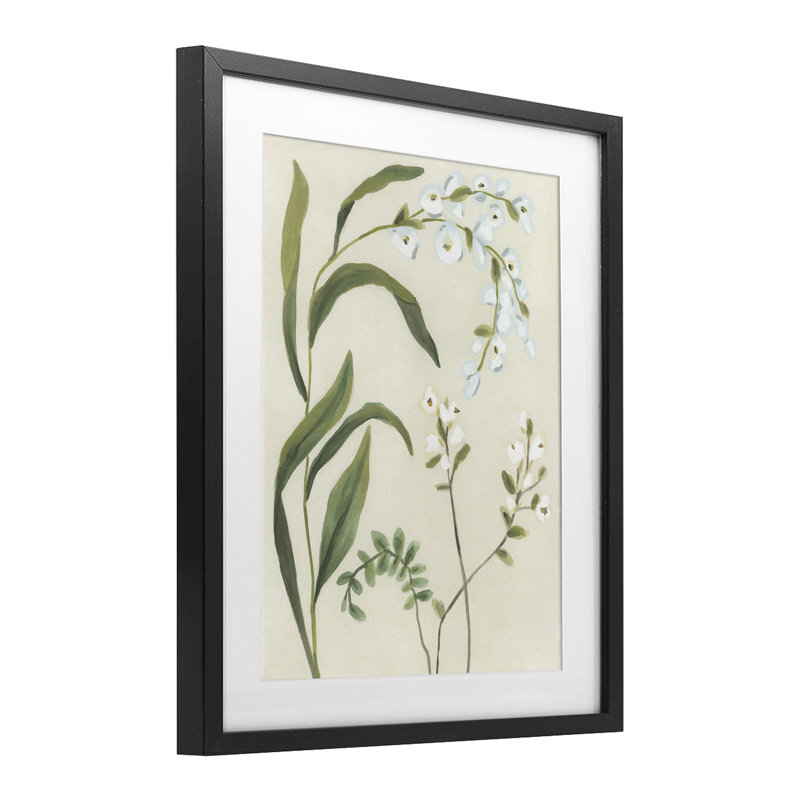 «Soft Snowdrop Stems», reproduction encadrée sous verre, design par June Erica Vess, H 16 po x l 13 po, Cadre noir minuit