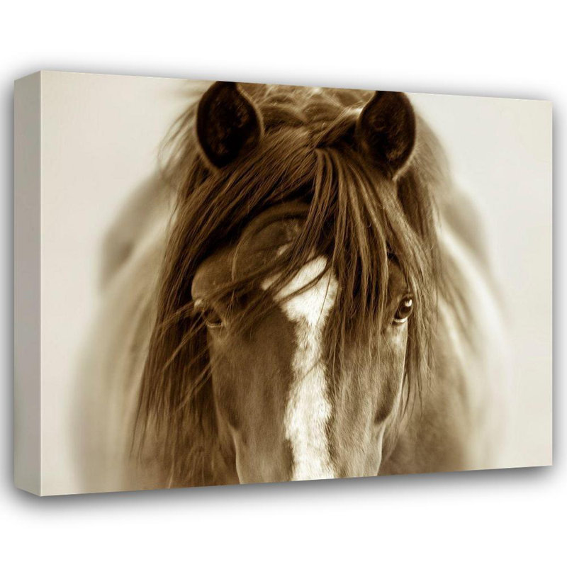 Art sur toile tendue Red Barrel Studio® Dearing, Lisa, titré: Ghost Horse, H 15 po x l 17 po