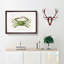 Green Crab by Charles d Orbigny - Framed Print-55575283-55575285