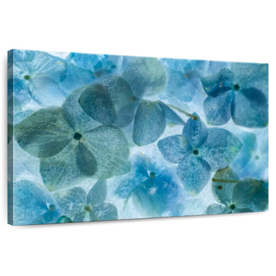 Harnek Flores En Hielo