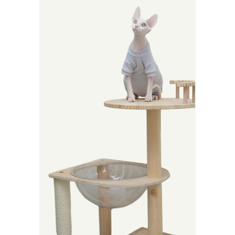 Arbre à chat Deba