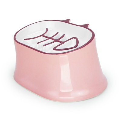 Slow Feeder Cat Bowl  Inches Elevated Cat Food Bowl