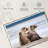 Brampt Bear Cub Siblings-108818552