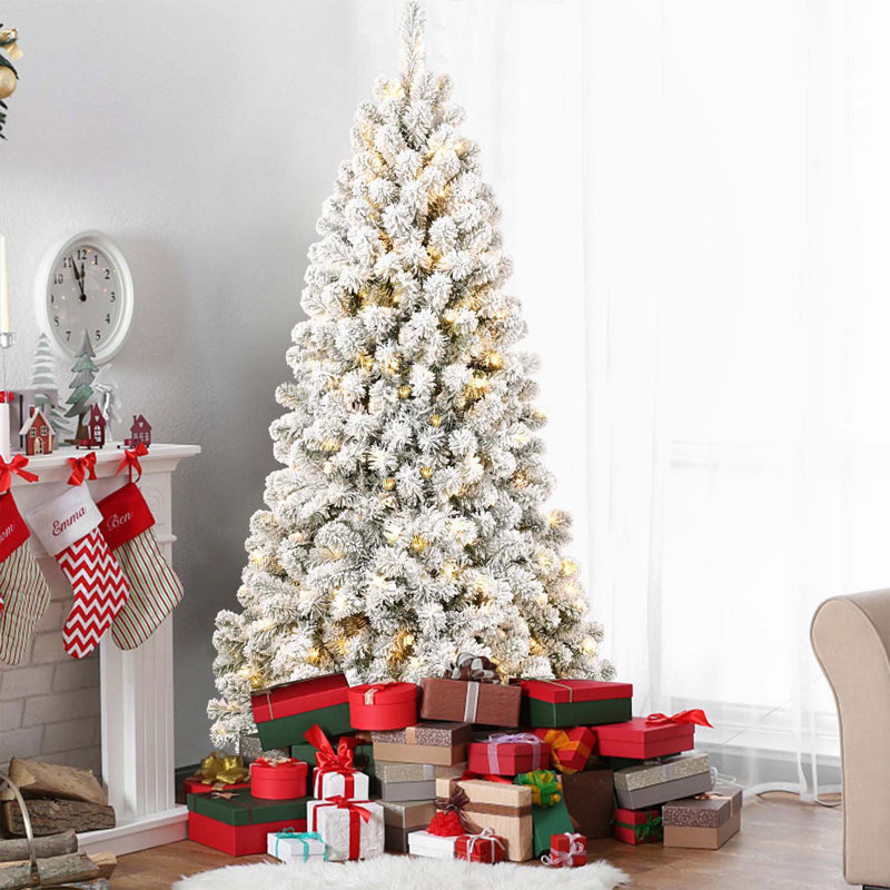 Arbres de noël, 5'