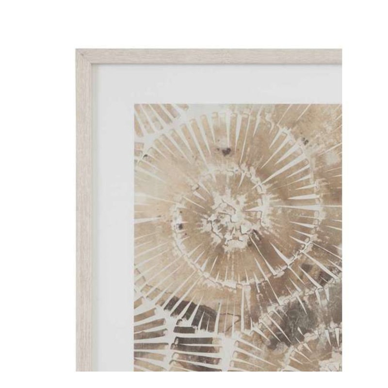 Fossil Nautilus I, reproduction encadrée
