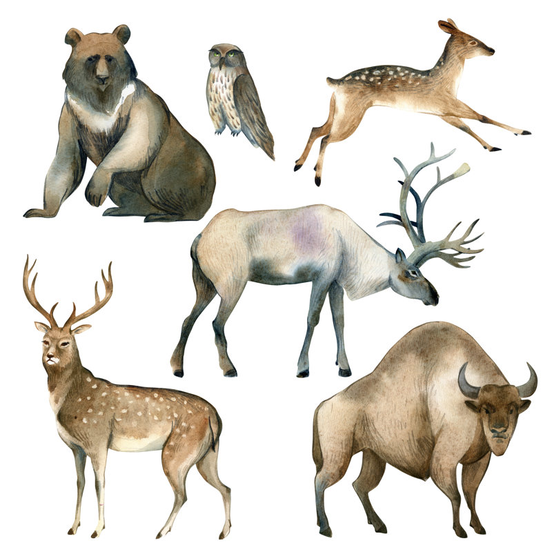 Watercolour Illustration by KatBuslaeva - Wrapped Canvas Print, 30cm H x 30cm W x 3.8cm D