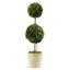 Preserved Boxwood Double Ball Topiary in Pot-465220151