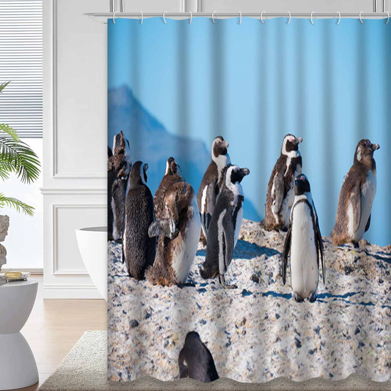 Pingouins d'Afrique, plage, Afrique du Sud, oiseau avec 12 crochets, L 72 po x l 72 po