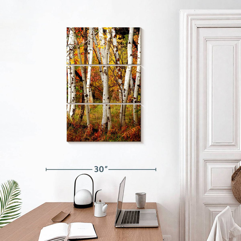 Alvord Slender Birch Trunks