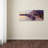 Modern & Contemporary-31104530