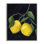 Deux citrons luxuriants, estampe numérique de Pamela Munger