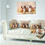 Coussin Schafer