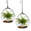 Ensemble de 2 pots suspendus pour plantes d'intérieur, support à plantes noir avec base en bois robuste