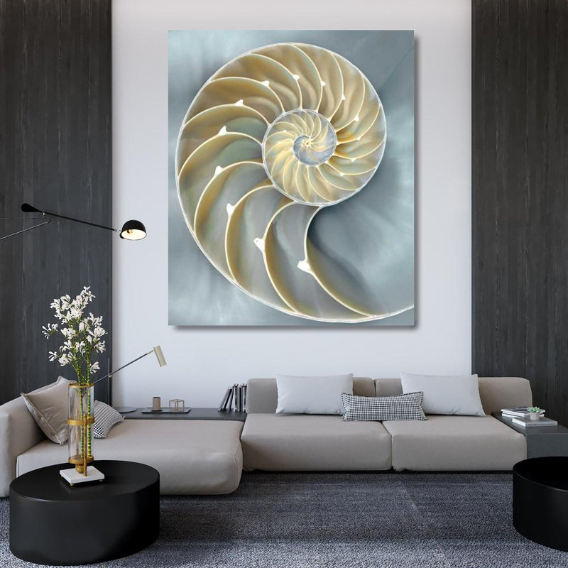 Reproduction d'art sur toile Beachcrest Home ™ Kelly, Caroline, «Nautilus in Blue I», H 42 po x l 36 po