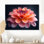Photo de souci rose rose et orange chaud - souci mural