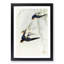 Swallows in Flight by Ohara Koson - Picture Frame Art Print-55616875-55616873